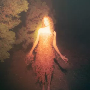 Creature of the Forest