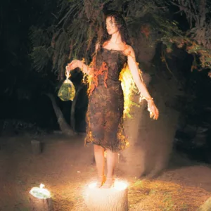 Creature of the Night
